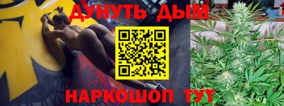 спиды Новодвинск