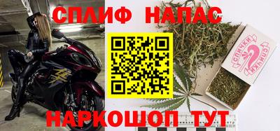 спиды Новодвинск